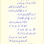Na beena image