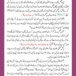 Salam 02