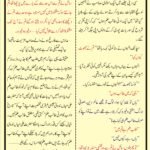 Talib Ilm